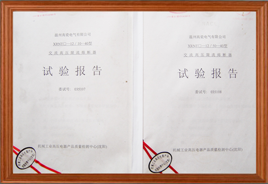 試驗(yàn)報(bào)告